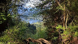 伯纳比山,伯纳比,不列颠哥伦比亚省
