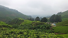 自然,山,小山