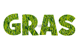 字体,草,纹理