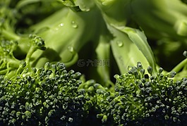 馒头,煮熟,有机