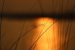草,河,草河边