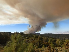 森林火灾,烟,野火