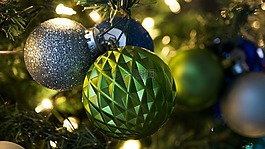 圣诞节,树,绿色