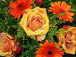 束鲜花,花商,束玫瑰