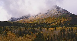 席卷,山,雾