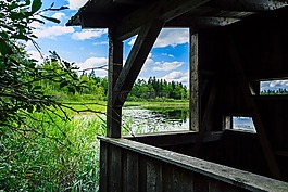 schreckensee,池塘,自然保护区