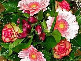 束鲜花,花商,束玫瑰