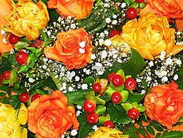 束鲜花,花商,束玫瑰