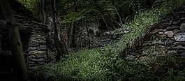 丛林,废墟,森林