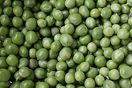 豌豆,在natura,植物
