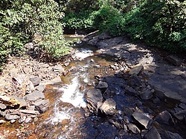 布鲁克,山中的小溪,春