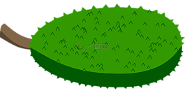 杰克水果,热带,水果