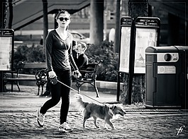 遛狗,女孩,女子