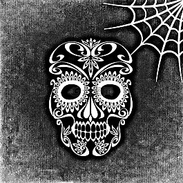 骷髅和交叉骨,蜘蛛网,背景