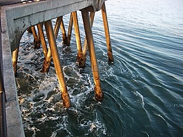 美国,西海岸,夏季