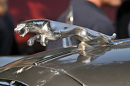 捷豹,图酷,oldtimer