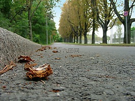 路,焦油,沥青