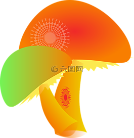 蘑菇,真菌,迷幻