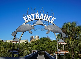 海牛,查看区域,阿波罗海滩