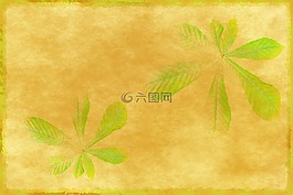 文具,贺卡,背景