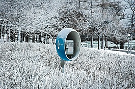 david,冷,雪