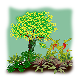 剪贴画,植物区系,景观