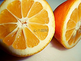 迈耶柠檬,柠檬,柑橘
