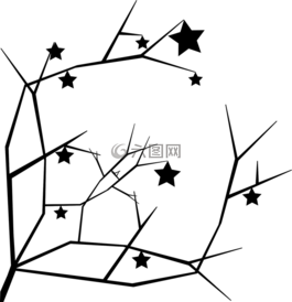 嫩枝,分支,秋天