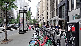 自行车,租金,街