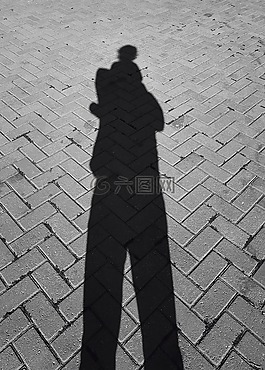 山雀,父母,家庭