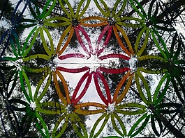 生命之花,天空,艺术