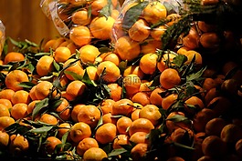 橘子,葡萄柚,柠檬