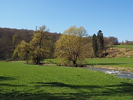 大 lautertal,大声点,河