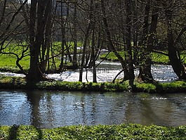 大 lautertal,大声点,河
