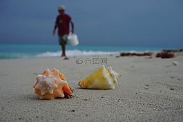 古巴,巴拉德罗,加勒比