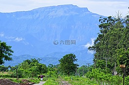 尔弗pintado,cerro calilegua,性质
