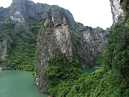 拜德龙,湾,水