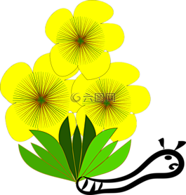 弗洛尔,弗洛尔amarela,春