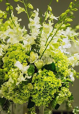 花,很好,绽放