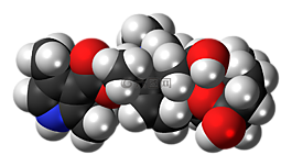 batrachotoxin,毒药,镖蛙