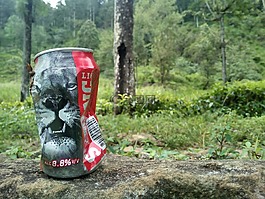 啤酒,狮子,品牌