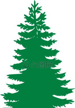 冷杉,常绿,树