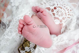 婴儿,脚,可爱