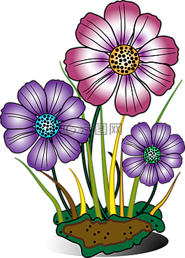 装饰,花,鲜花