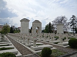墓地的lwów小鹰,狮子,墓地