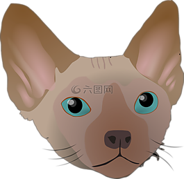 大,猫,德文雷克斯