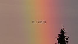 彩虹,频谱,树