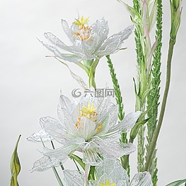 装修,花,业余爱好