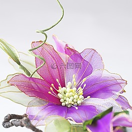 装修,花,业余爱好