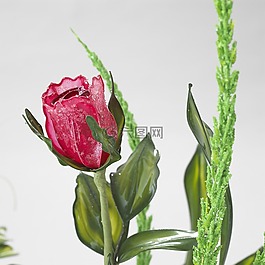 装修,花,业余爱好